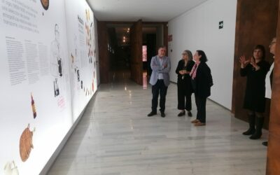 El alcalde se reúne con la secretaria autonómica de Cultura para solicitar apoyo al MUVI y a los actos del V Centenario de la ciudad  