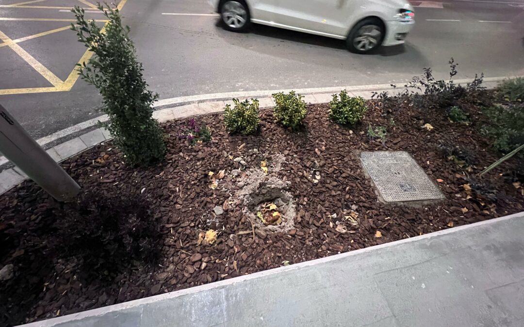 Policía Local detecta los primeros robos de plantas en las jardineras de la Avenida de la Constitución