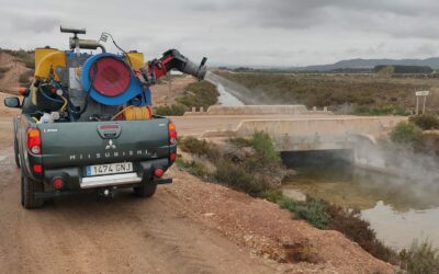 Villena intensifica la campaña contra la plaga de mosquito