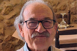 D. Manuel Ángel Soler Pastor