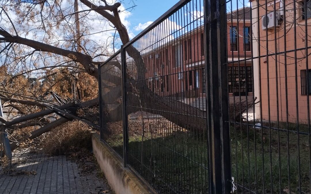 Villena limita las actividades en el exterior ante la alerta meteorológica por fuertes vientos de este sábado