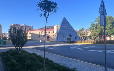 Medio Ambiente repone 50 árboles en las áreas verdes de la ciudad