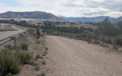 El grupo del Proyecto Acción Inserta de Agricultura Ecológica y Jardinería limpia y mejora varias zonas verdes de la ciudad