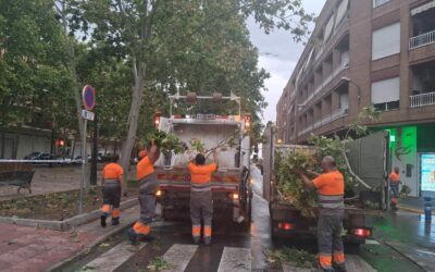 Las brigadas municipales redoblan esfuerzos para recuperar la normalidad tras la tormenta de ayer