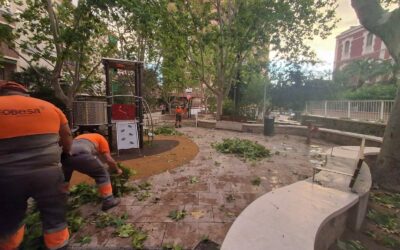 El Ayuntamiento reabre los parques municipales excepto Martínez Olivencia y la Pinada Galvis