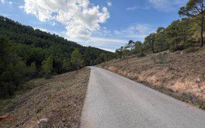 Villena ejecuta un cortafuegos en Sierra Salinas como parte del Plan de Prevención de Incendios Forestales